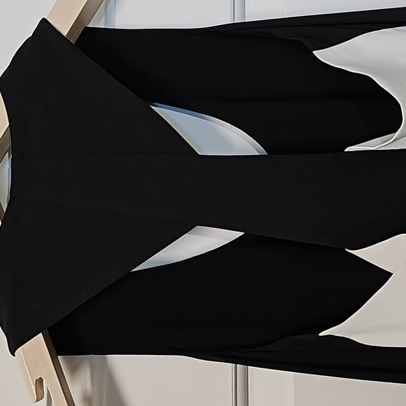 BCBGMAXAZRIA Kylie Black and White Dress - Picture 9 of 11